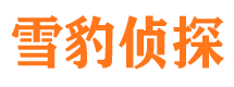 伊宁市私家侦探